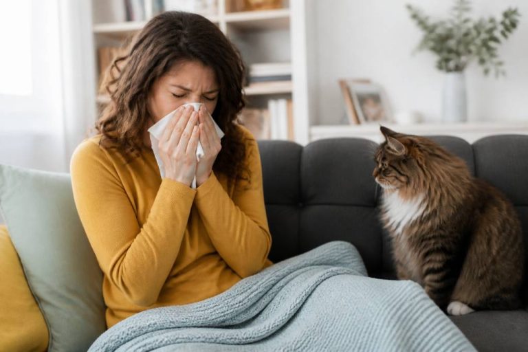 Allergy with cats : comment réduire les symptômes au quotidien