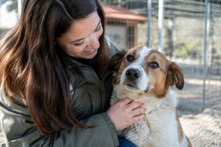 Comment trouver un refuge animaux Puy de Dôme pour adopter dans de bonnes conditions
